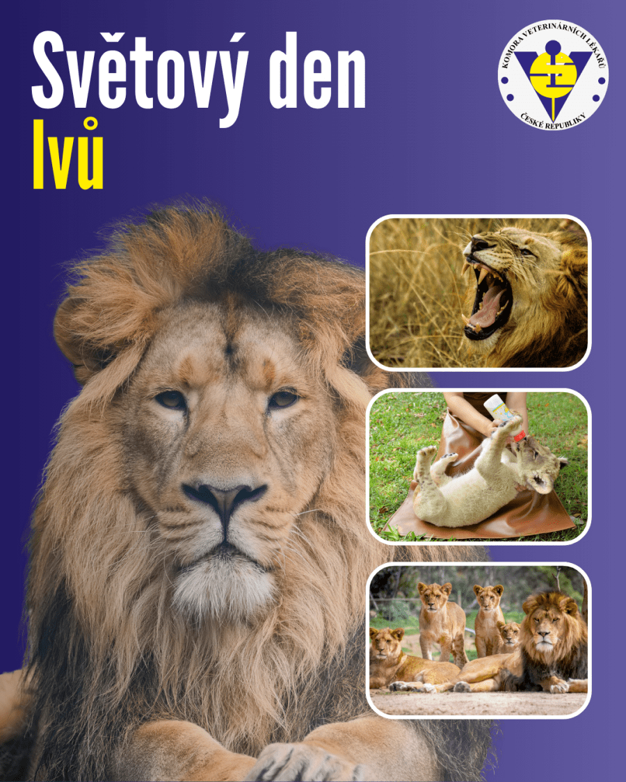 2026-08-10-lvi-Evropský den národních parků (7).png